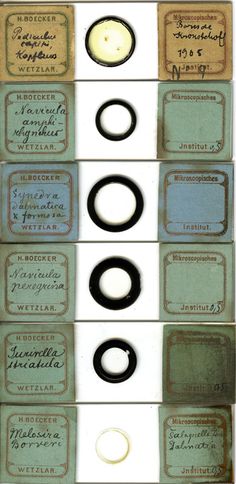 26 best victorian microscope