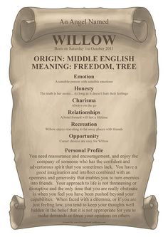 For the love of Willow❤️ For the love of Willow❤️