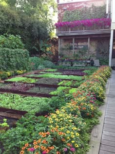 Front Yard Vegetable Garden Seattle | Pallet Potting Bench PEACH ... Front Yard Vegetable Garden Seattle | Pallet Potting Bench PEACH ...