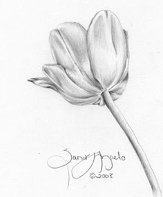 pics Flower Shading Drawing Very Easy pencil shading flower drawing