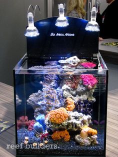 390 best nano reef tank images fish tanks aquarium ideas aquarium