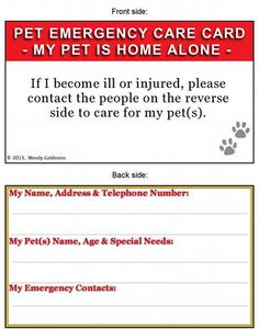 57 Suitable Marketing and advertising visuals in just 2016 Pet dog grooming business enterprise image relating to My Dog is Home Alone Card Printable called 57 Perfect Promoting shots in just 2016 Puppy grooming office