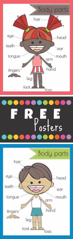 science worksheets preschool worksheets body parts worksheets