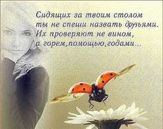 Святки, поздравления на Святки 2019. Прикольные стихи на Святки (новые) в 2019 году Святки, поздравления на Святки 2019. Прикольные стихи на Святки (новые) в 2019 году