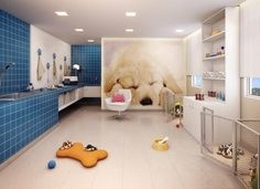 31 Best Dog Room Ideas Images Dog Rooms Animal Room Room