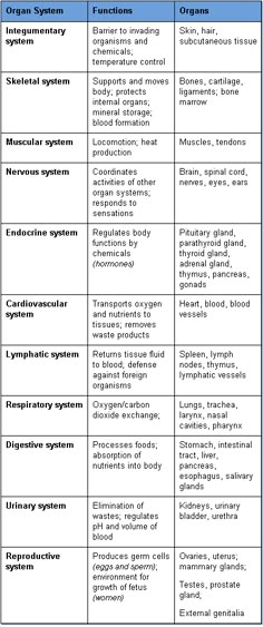 283 best human body systems images science classroom science body system chart
