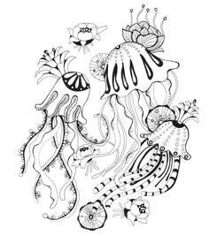 Botanical Wonderland Coloring Book
