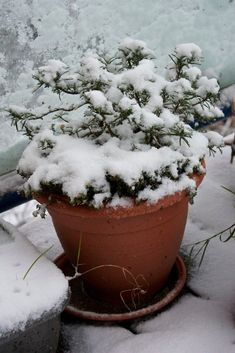 si pierdere în greutate mt vernon il