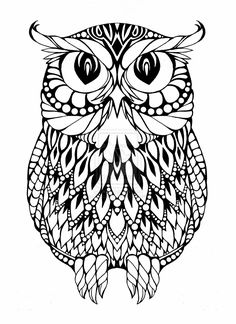 585 best pattern owls images barn owls drawings coloring pages owl coloring pages