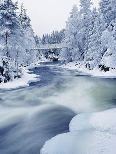 505 best winter scenes