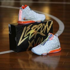 12 Best Lebron 17 images
