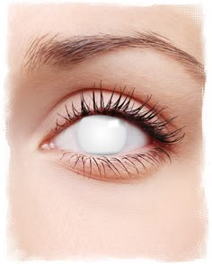 1028 best white contact