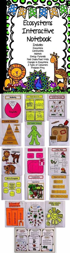 198 best food chains images on pinterest science classroom ecosystems interactive notebook food chains webs pyramids types of animals