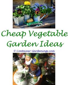 gargen gardening tips for beginners tomatoes front garden driveway design ideasgargen garden background