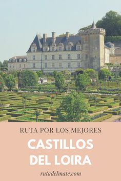 63 Ideas De Castillos Del Loira Castillos Del Loira Castillos Palacios