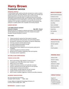 resume professional summary example customer service