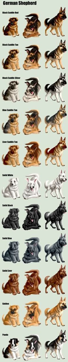 international dog breeds dog house kits pinterest dog group click visit site and check out best german shepherd t shirts this website is top notch tip you can search your name or your favorite shirts