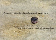 seashells quote beach quotes ocean quotes sayings pinterest quotes about seashells