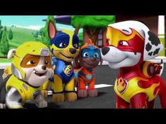 34 Paw Patrol Ideas Paw Patrol Paw Paw Patrol Pups