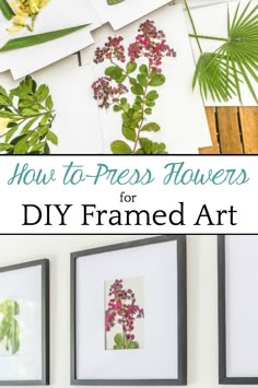 Crafts: Dried Flower Craft Ideas - HodgePodgeDays