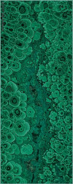 180 Best Color Emerald Green Images Colors Ideas Emerald Green Patterns In Nature Organic Pattern Shades Of