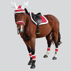 Christmas saddle pad on Ekkia, the horse\u0027s world. ChevalNoelPlaisir De NoëlDéguisement De Cheval HalloweenCostumes De NoëlChevaux Miniatures Accessoires