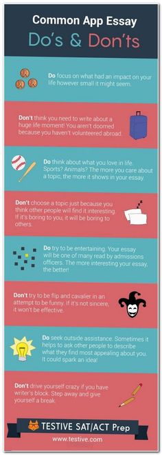 online friendships essay test for capgemini