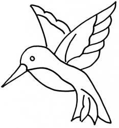hummingbird 3