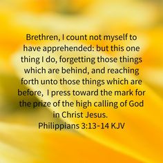 Image result for forget those things that are behind
scripture kjv