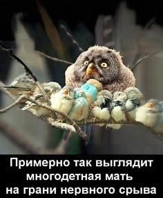 Фото Мамы С Детьми Прикольные Фото Мамы С Детьми Прикольные