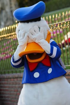 Disney Birthday Costume Donald Duck Shirt Donald Duck Shirt disneybound donald duck Donald Duck Top Adult Donald Duck Costume