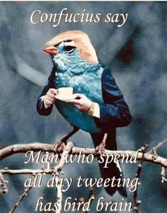 Image result for Trump and stuff problems 2019 cartoon with funny text