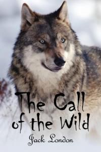 The call of the wild essay
