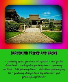 gardening tricks and hacks_500_20180610105353_23 raised bed gardening easy bbc beechgrove garden programmes definition - Madison Square Garden Jobs gardening tricks and hacks_500_20180610105353_23 raised bed gardening easy bbc beechgrove garden programmes definition - Madison Square Garden Jobs