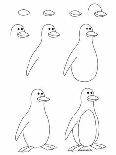 penguin
