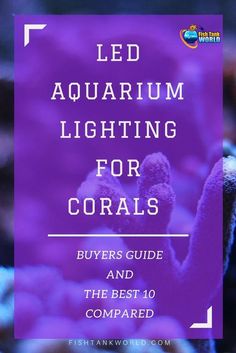 67 best led aquarium