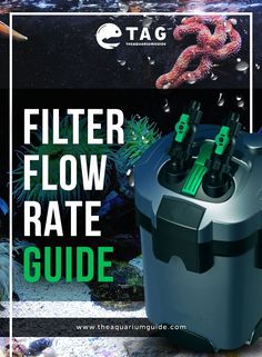 38 best aquarium filter