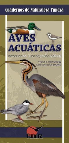 21 Ideas De Cetreros Aves Rapaces Aves Cetreria