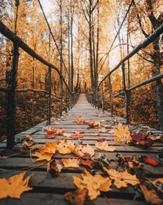 Photo Outdoor