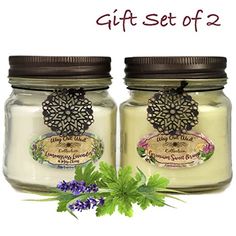 Verbena Lime and Sage of Scotland Scented Candles 01 SOLAS Scented Candles: Large Glass Jar Candle Natural Soy Wax Candle-Enjoy Aromatherapy with Long Lasting 3 Wick Candle with Scents of Bergamot Lemongrass