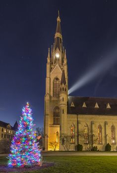 60 best christmas at notre dame images on pinterest notre dame notre dame christmas