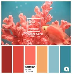 ANNOUNCING THE PANTONE COLOR OF THE YEAR 2019PANTONE 16-1546 Living CoralAn animating and life-affirming coral hue with a golden undertone that energizes and enlivens with a softer edge Coral, Coral Colour Palette, Color Of The Year, Pantone Color, Color Palette