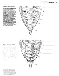 Kaplan Anatomy Coloring Book.pdf | boudli | Pinterest | Colour ... Kaplan Anatomy Coloring Book.pdf | boudli | Pinterest | Colour ...