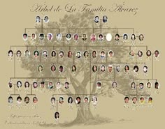 421 best family tree crafts images on pinterest in 2018 family