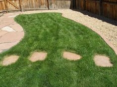 47 Best Dog Scaped Yards Images Jardin Pour Chien Animaux De Pawfriendly Landscapes An Interview With Owner Elizabeth Bublitz For A Beautiful Pet Friendly Yard Very Useful Info Ideas