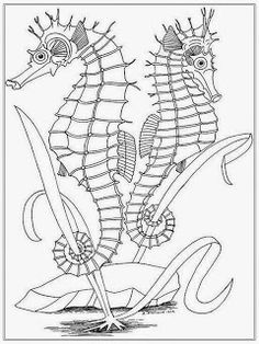 Realistic Sea Horse Coloring Pages For Adult