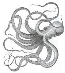 artist spends 1 year using only discarded ballpoint pens to draw giant octopus ballpoint pen drawings and artist