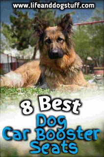 8 Best Dog Car Booster Seats Review Dog Car Booster Seat Dog