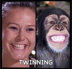 14 best mkr moments images on pinterest entertaining hilarious