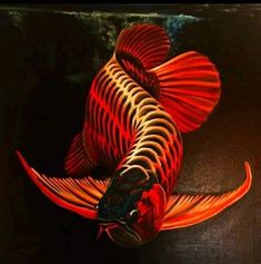 Pin ini berisi gambar: Arwana Super Red